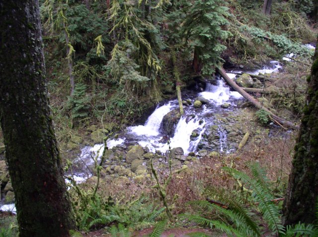 Waukeena Mult Falls 11.26.05 058 